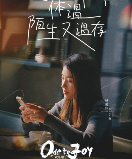 方芷衡剧照